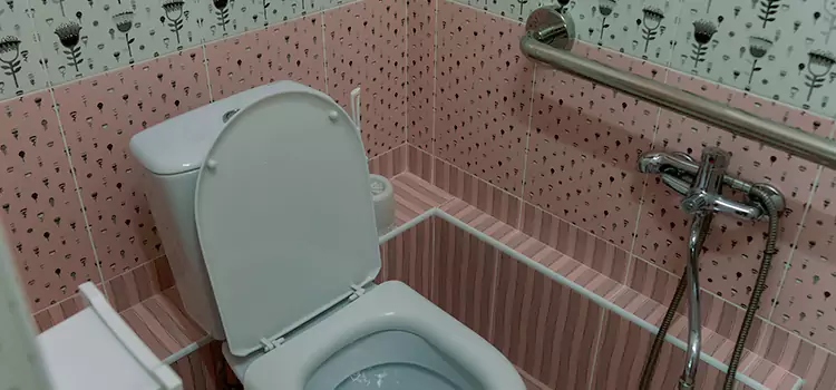 Meeting Diverse Needs With Accessible Restroom Solutions in Kahului, HI